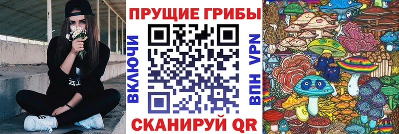 OMG зеркало  Аксай  Псилоцибиновые грибы Psilocybine cubensis 